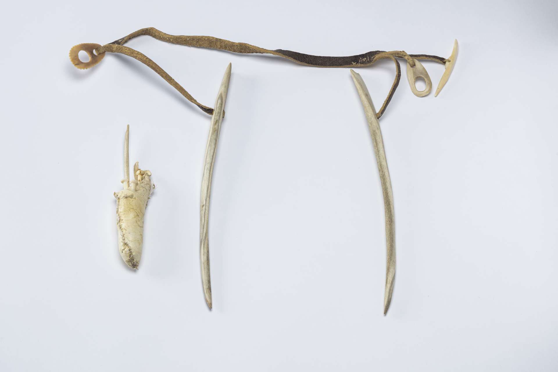 Two long pieces of white bone with sharpened ends, lying parallel to each other. A leather strap is attached to their upper ends. Two buckles and what looks like a white bone pin are attached to the strap. On the left, a small beige leather pouch is visible.